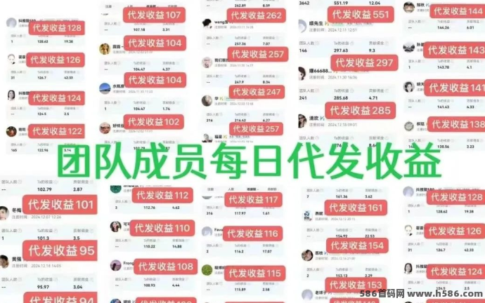 抖推猫视频代发攻略：每天半小时，开启月入万元新机遇