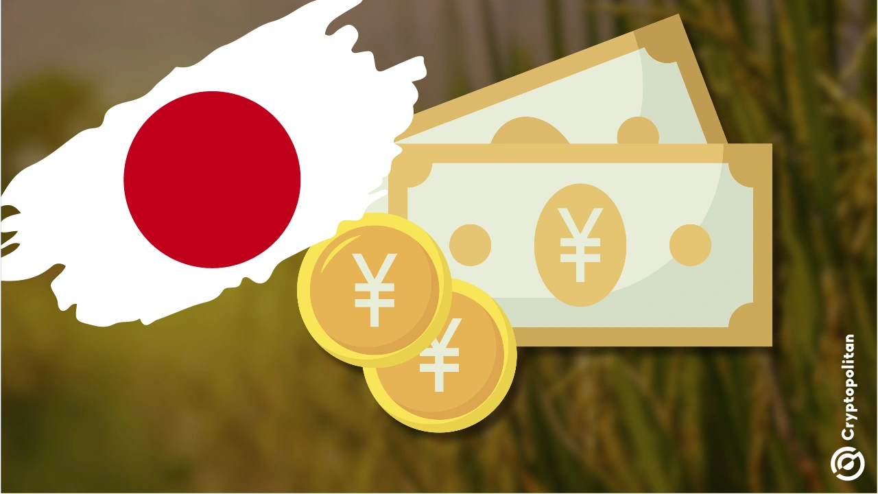 日本日元贬值和大米危机加剧——巨头抢占优质粮食,小商店则收获残羹剩饭 日本日元贬值和大米危机加剧——巨头抢占优质粮食,小商店则收获残羹剩饭