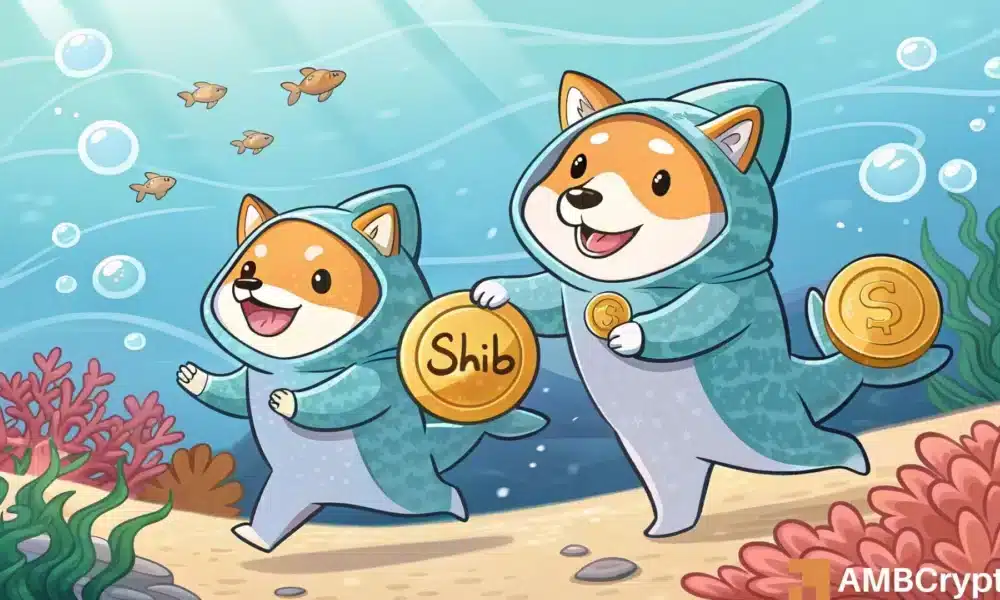 柴犬数量下降 20%,但鲸鱼数量却再次激增——接下来是 SHIB 的复苏吗? 柴犬数量下降 20%,但鲸鱼数量却再次激增——接下来是 SHIB 的复苏吗?